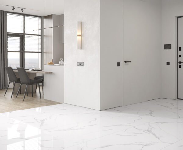 х9999304482Calacatta Splendid Silver Керамогранит белый 60х60 Матовый — изображение 11