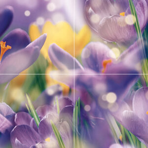 х9999081267Crocus Панно P4D286 80х40 (из 4 плиток)