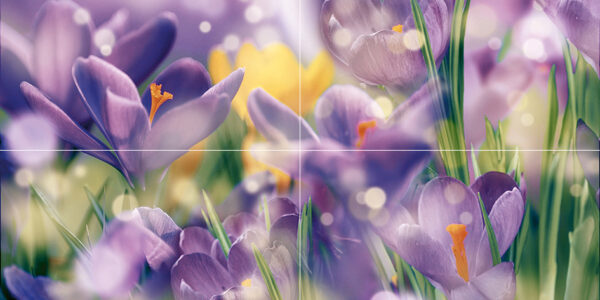 х9999081267Crocus Панно P4D286 80х40 (из 4 плиток)