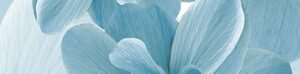 х9999072318Pastel Бордюр B300-2D124 30х4,5
