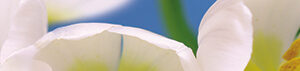 х9999068640Blue garden Бордюр 6х60