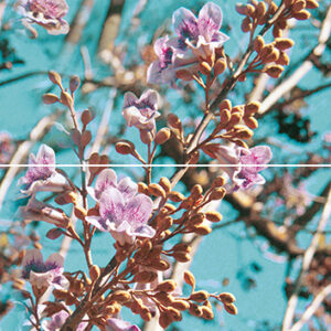 х9999079437Spring P2D261 Панно из 2-х плиток 30х40