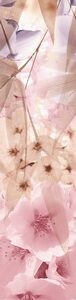 х9999072329Sakura Бордюр B300D131 4,5х30