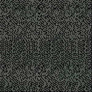 х9999095854Black&White Керамогранит черный (BW4R232DR) 42x42