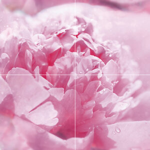 х9999081237Peony Панно P4D281 80х40 (из 4 плиток)