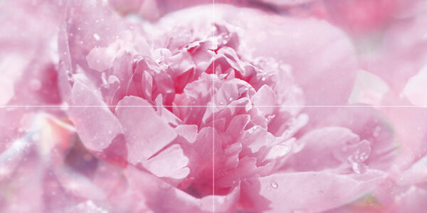 х9999081237Peony Панно P4D281 80х40 (из 4 плиток)