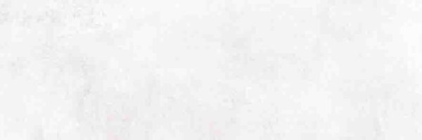 х9999215884Haiku Плитка настенная светло-серый (HIU521D)  25x75
