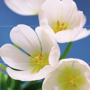х9999068635Blue Garden Панно (из 3пл) 75x60