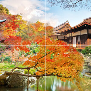 х9999081264Japan Панно P4D301 80х40 (из 4 плиток)