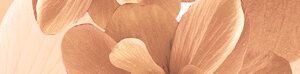 х9999072319Pastel Бордюр B300-3D124 30х4,5