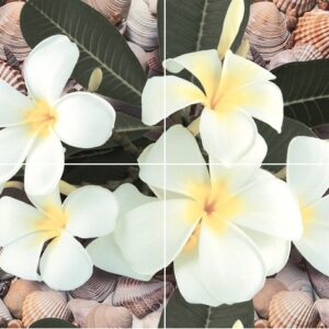 х9999072339Seashore Панно P4D173 60х40 (из 4-х пл.)