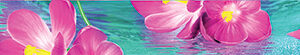 х9999079442Ocean flowers B300D240 Бордюр 30х4,5