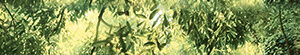х9999079400Waterfall mountains B300D259 Бордюр 30х4,5