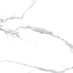 х9999304479Calacatta Splendid Silver Керамогранит белый 60х120 Полированный