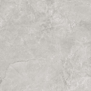 х9999300989Pluto Silver Керамогранит светло-серый SG625820R 59,5х59,5 матовый