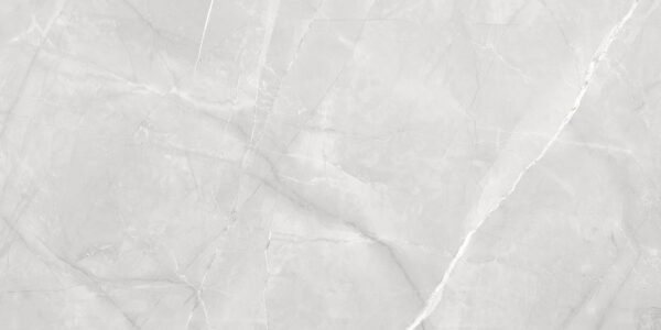 х9999311688Timeless Grigio Керамогранит серый LP6012G0021R 59,5х119,1 матовый карвинг