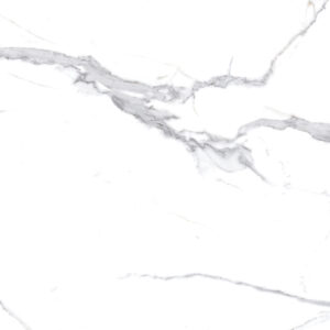 х9999304482Calacatta Splendid Silver Керамогранит белый 60х60 Матовый