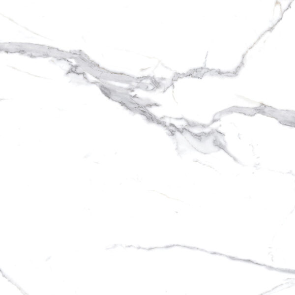 х9999304482Calacatta Splendid Silver Керамогранит белый 60х60 Матовый